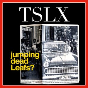 Jumping Dead Leafs? by Tolouse Low Trax