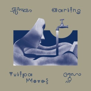 Tulipa Moves by Darling