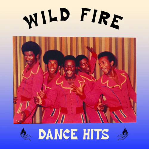 Dance Hits by Wild Fire