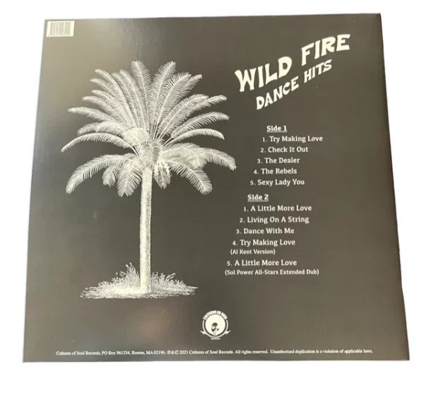 Dance Hits by Wild Fire